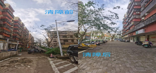 “摩羯”無情黨員有責——海南省勘察設計協會黨支部支援災后重建紀實494